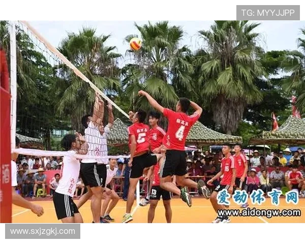 周静独家：分享排球心得