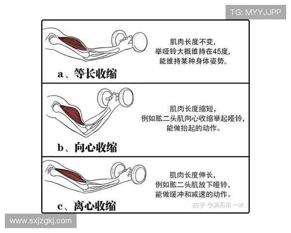 广州足球队耐力对比深度解析揭示球队竞争力与发展潜力