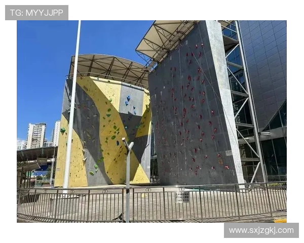 杭州攀岩队的节奏变化与表现分析探讨攀岩运动的未来发展方向