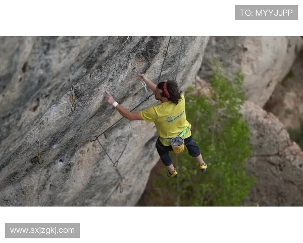 深圳攀岩队与重庆攀岩队赛后战术分析与总结探讨